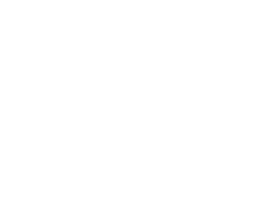 LoKey logistics wht trans 550